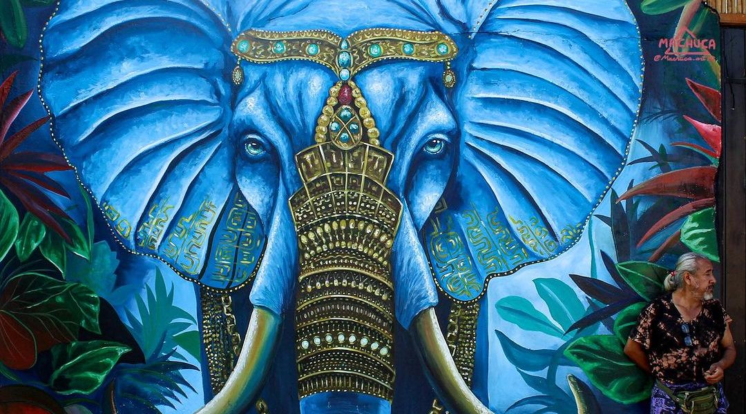 Machuca @ Tarapoto, Peru