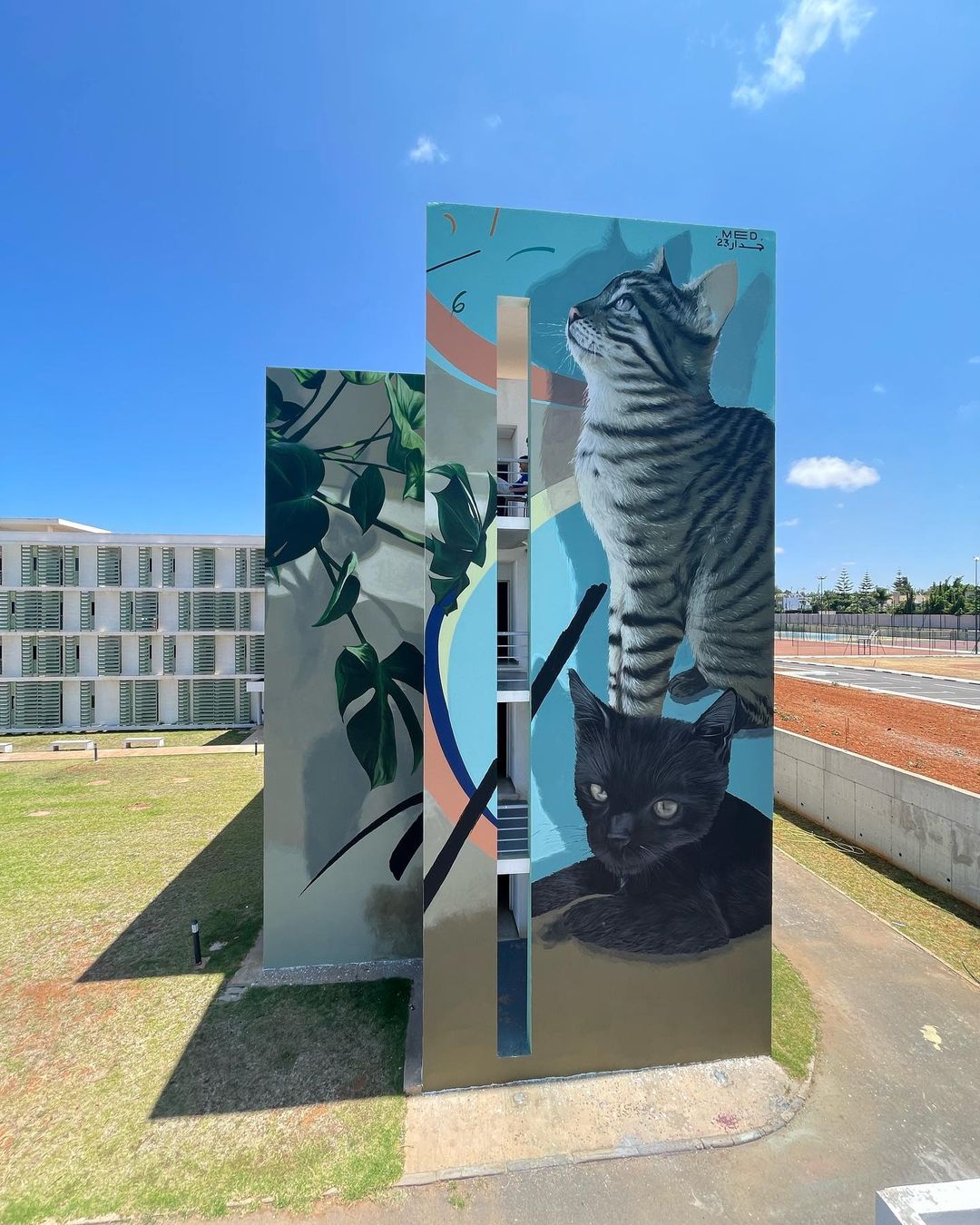 Mehdi Zemouri @ Rabat, Morocco