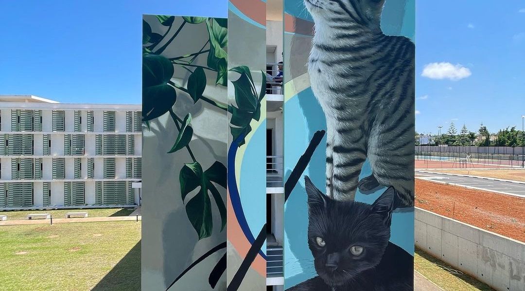 Mehdi Zemouri @ Rabat, Morocco