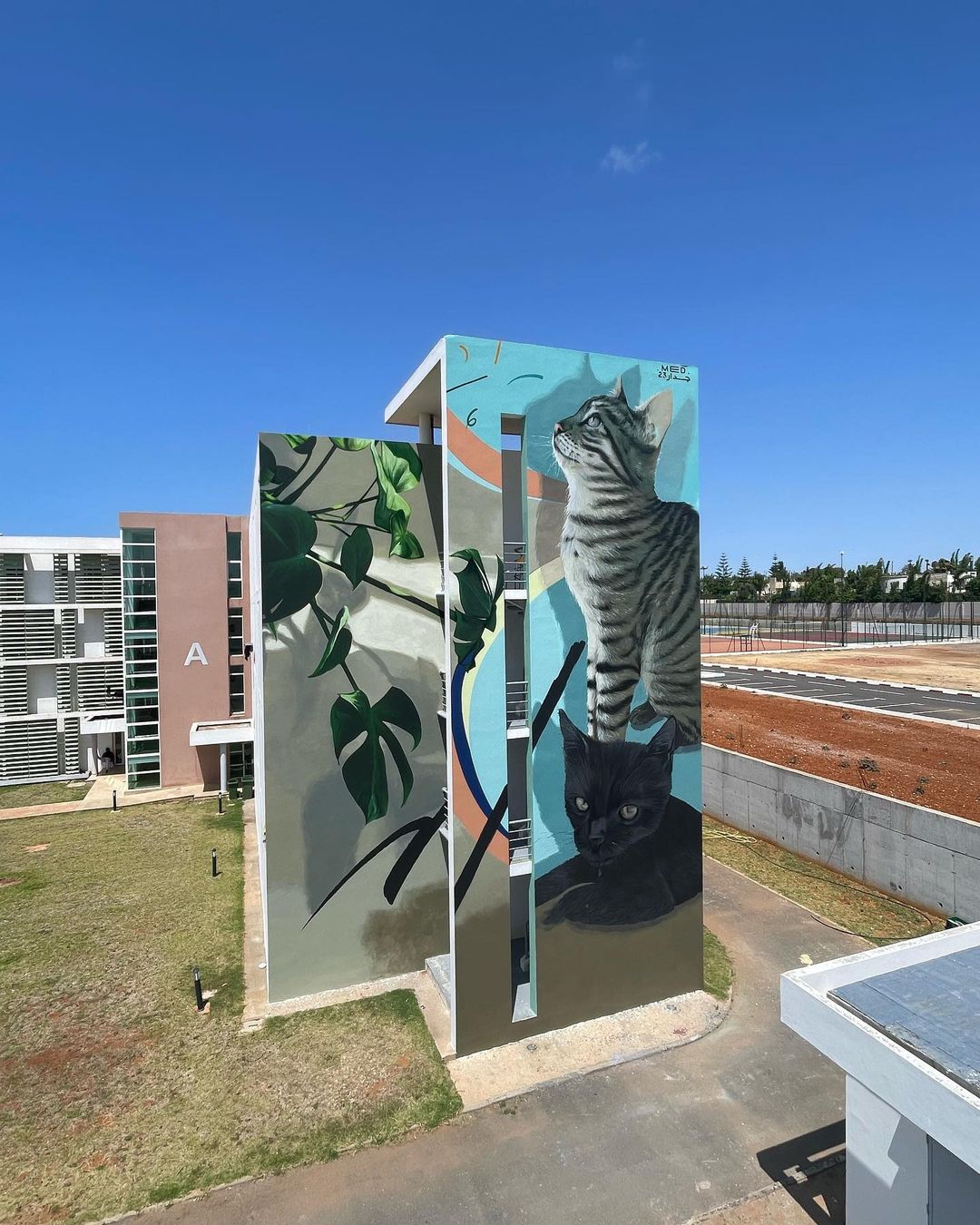 Mehdi Zemouri @ Rabat, Morocco