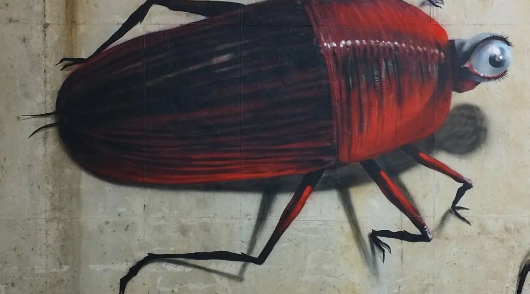 Omar Alonso @ Barranquilla, Colombia