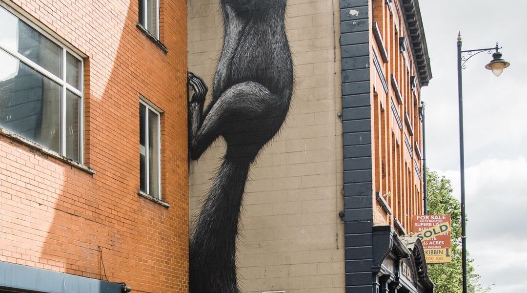 ROA @ Belfast, Northern Ireland, UK