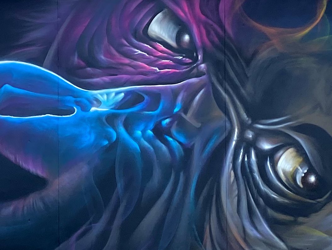 Smok @ Brussels, Belgium