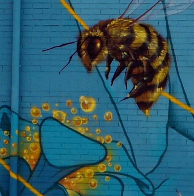 WERENS @ Terrassa, Spain