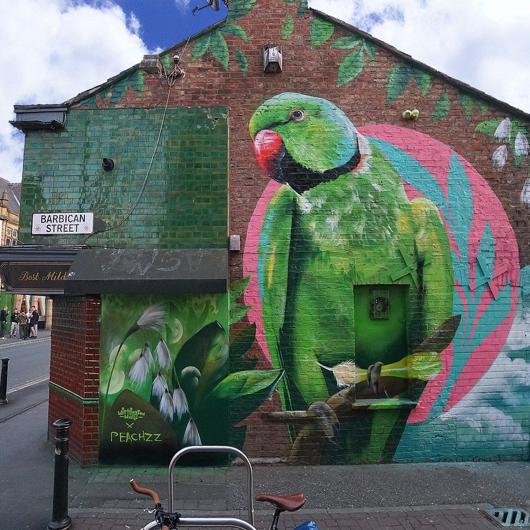 Peachzz @ Manchester, UK