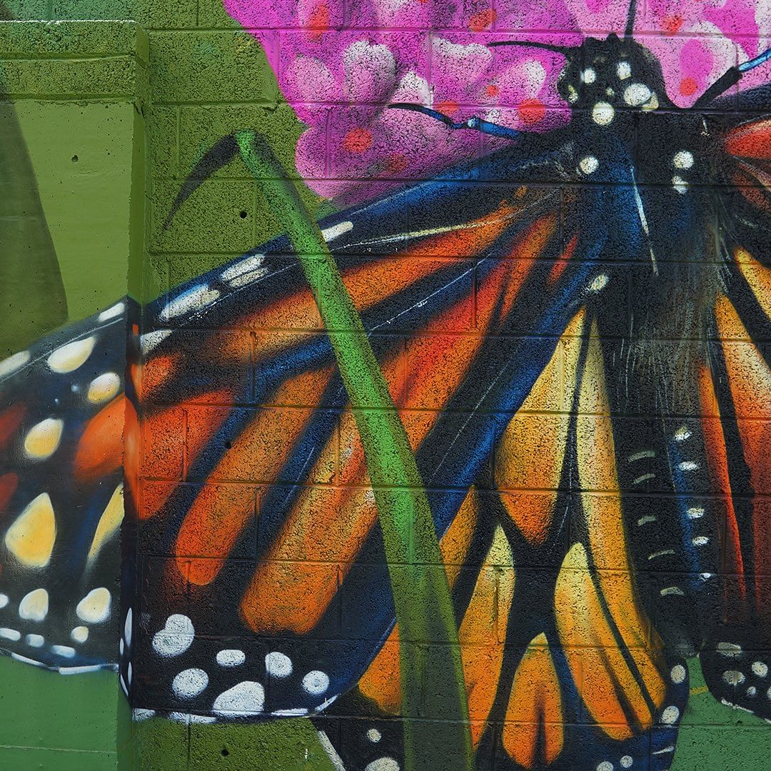 Peachzz @ Waterford, Ireland