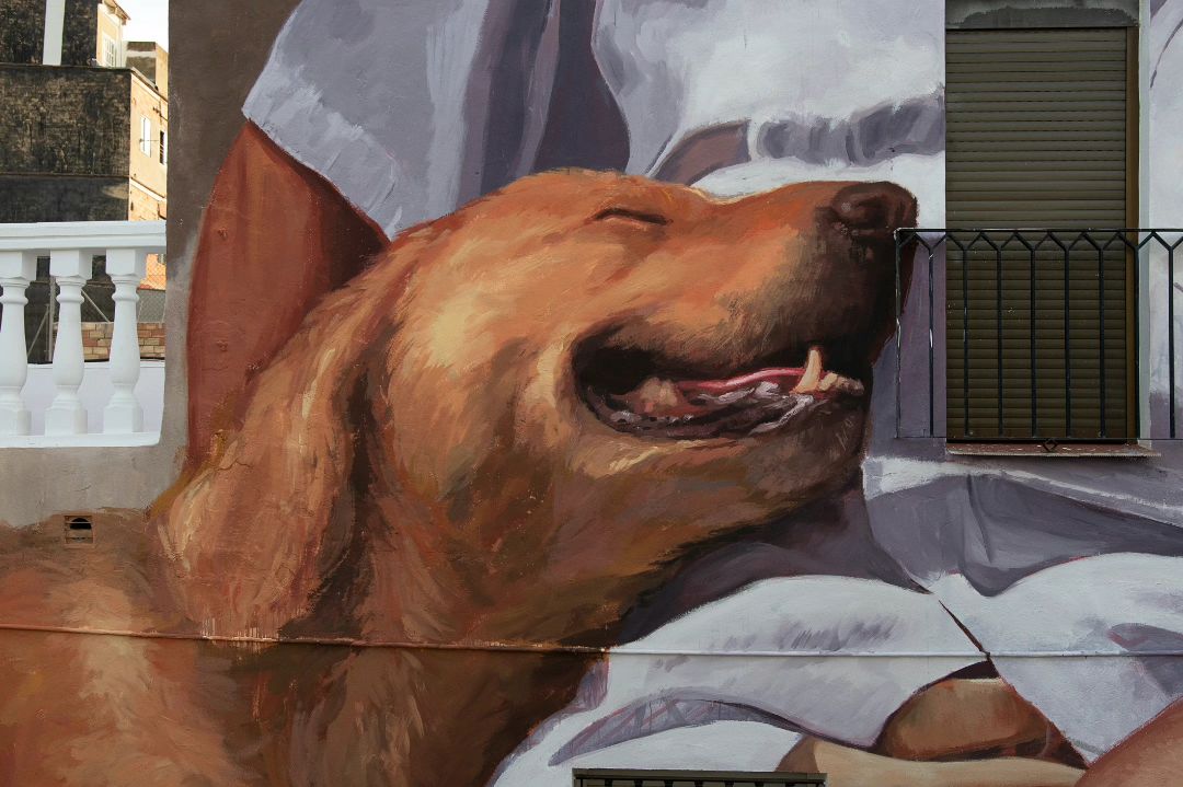 Antonio Santoyo + Ali @ Picassent, Spain