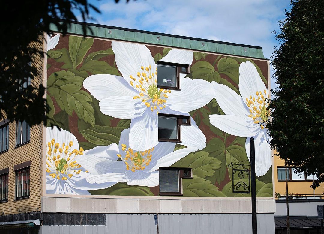 Doa oa @ Vanersborg, Sweden