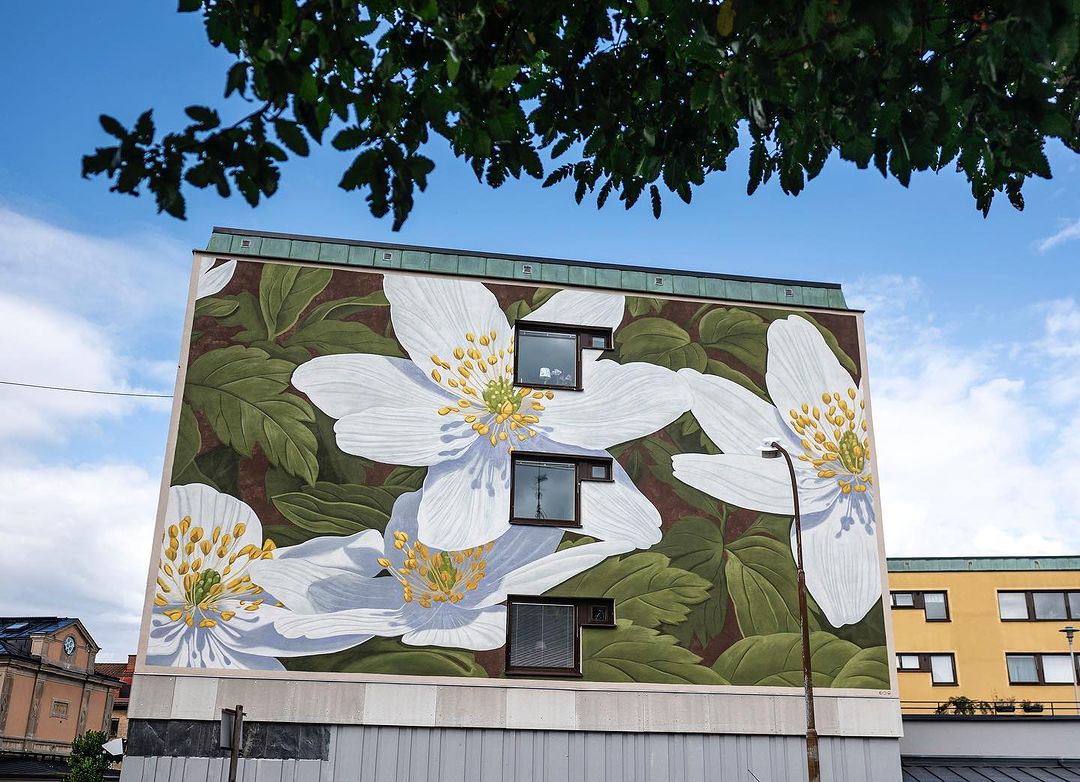 Doa oa @ Vanersborg, Sweden