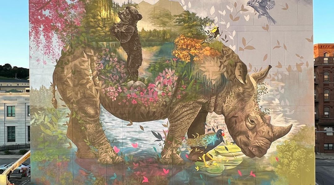 Ernesto Maranje @ Lynn, Massachusetts, USA