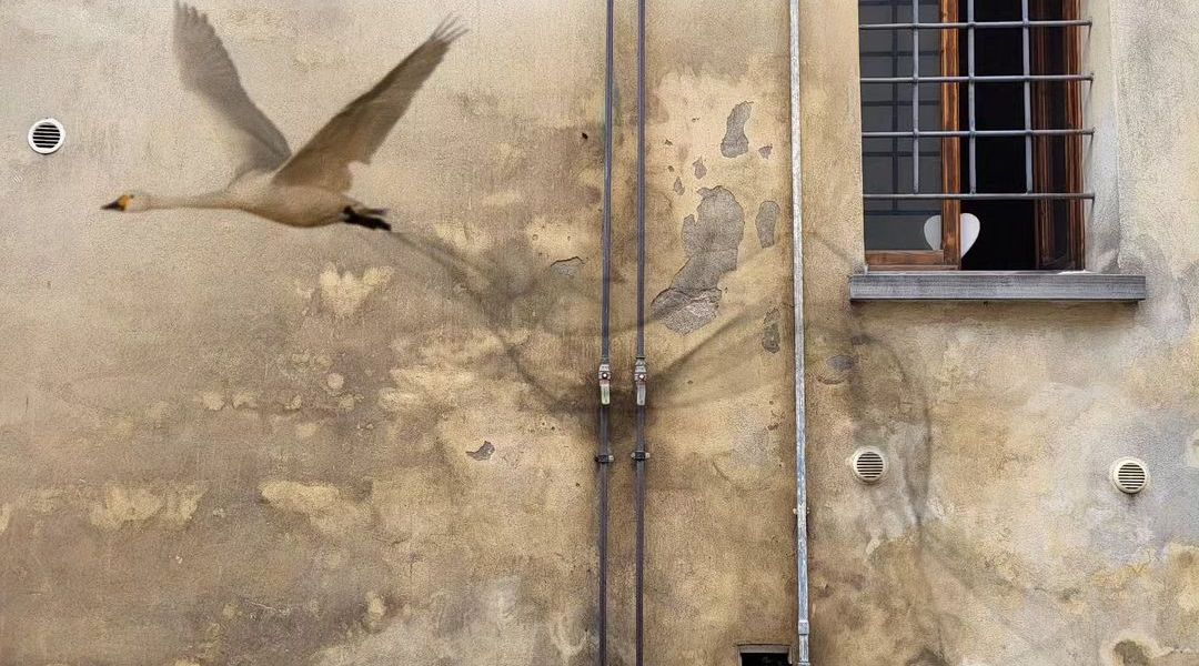 Giulio Giustini @ Italy