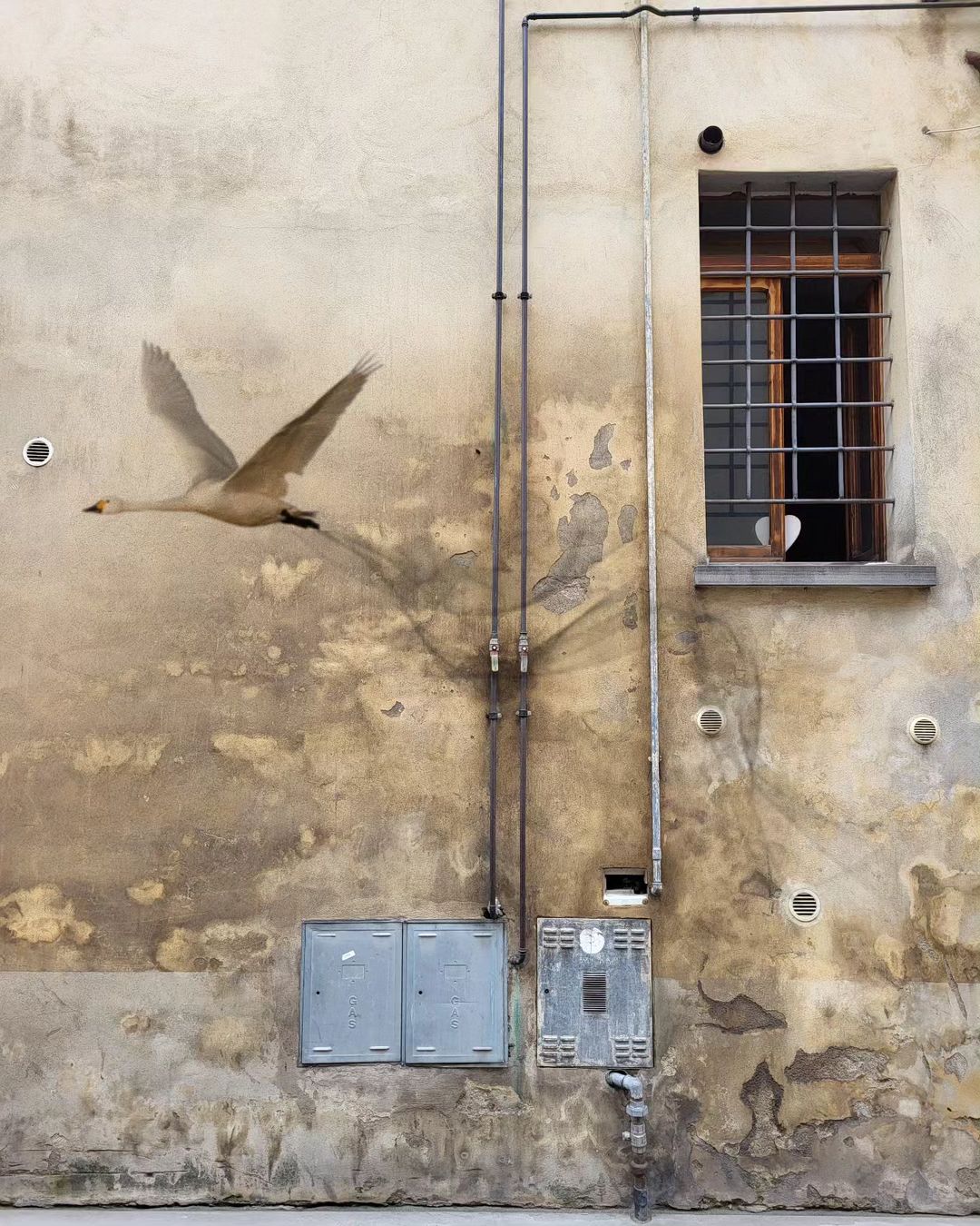 Giulio Giustini @ Italy