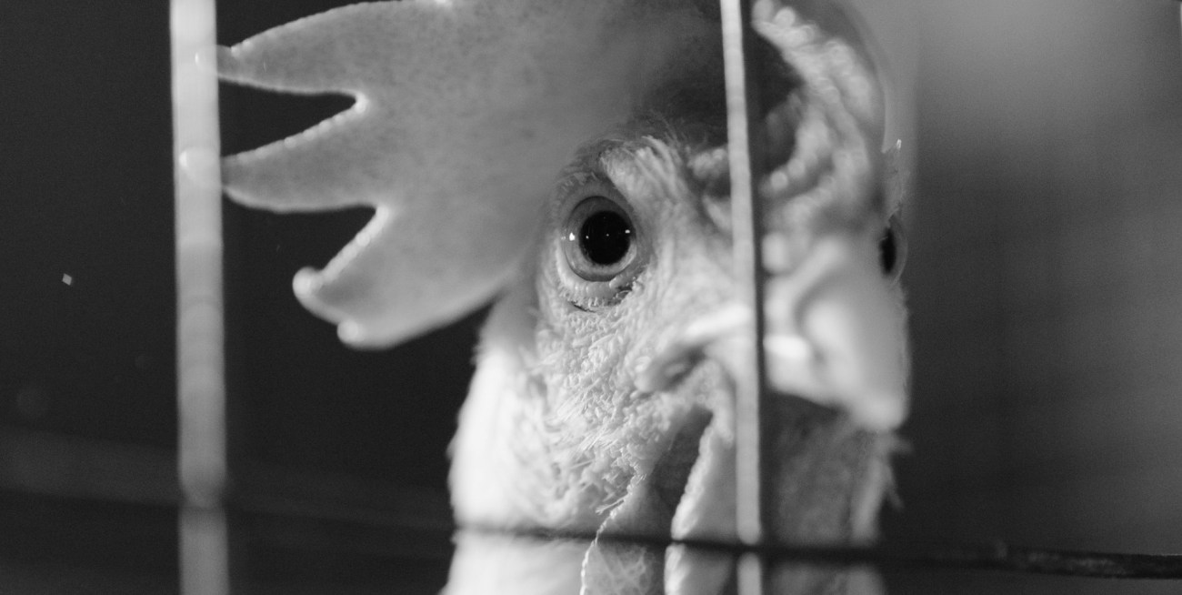 Photo by Cottonbro studio