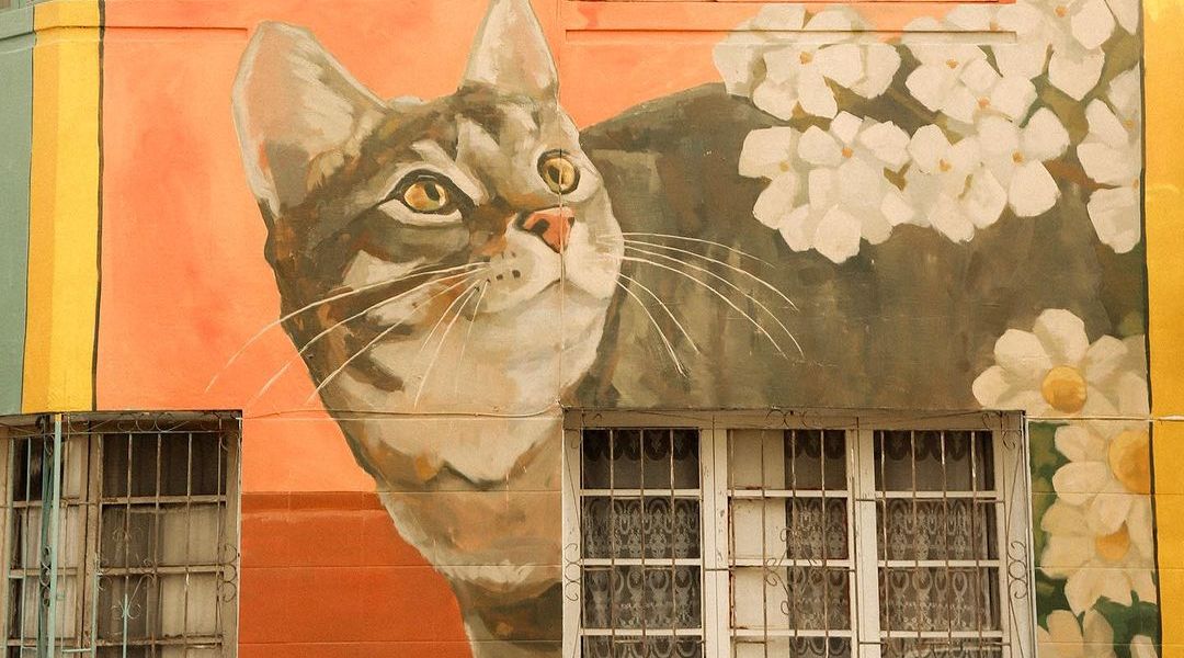 Naath @ Santiago, Chile