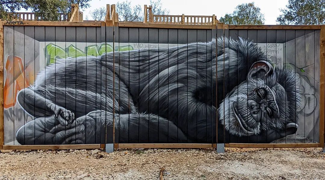 Nyota @ Larnas, France