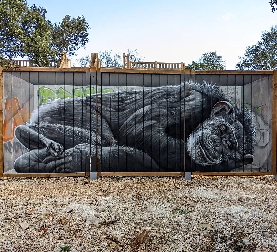 Nyota @ Larnas, France Nyota @ Larnas, France