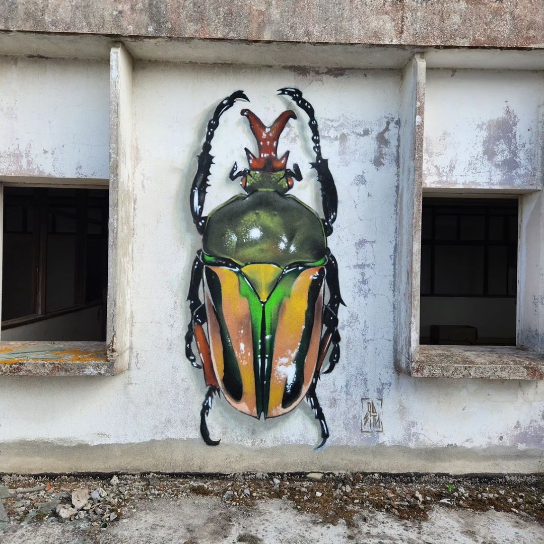 Odeith @ Portugal