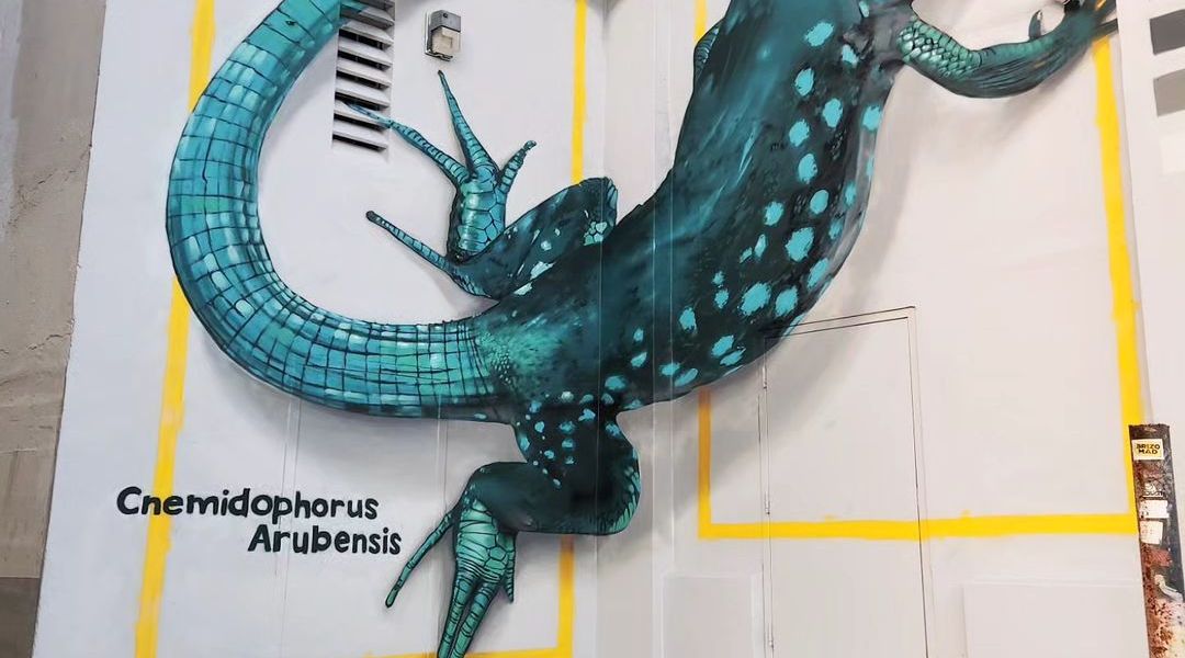 Odeith @ San Nicolaas, Aruba