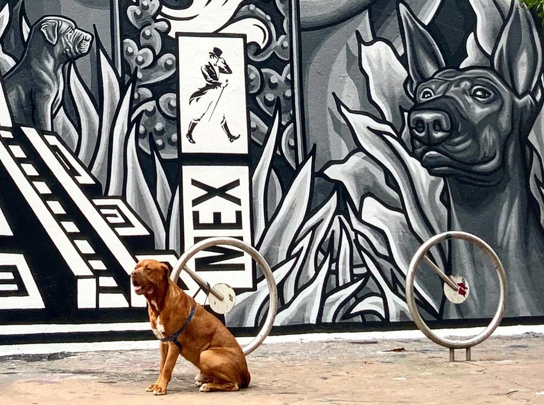 Paola Delfin @ Mexico City, Mexico