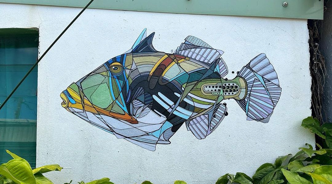 Teuthis @ Saint-Pierre, Reunion