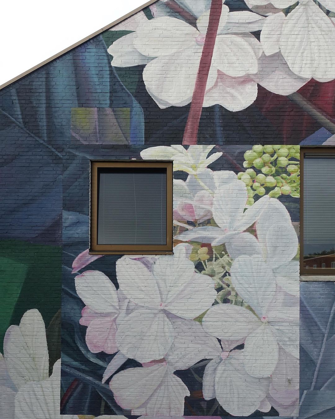 Thiago Mazza @ Groningen, Netherlands