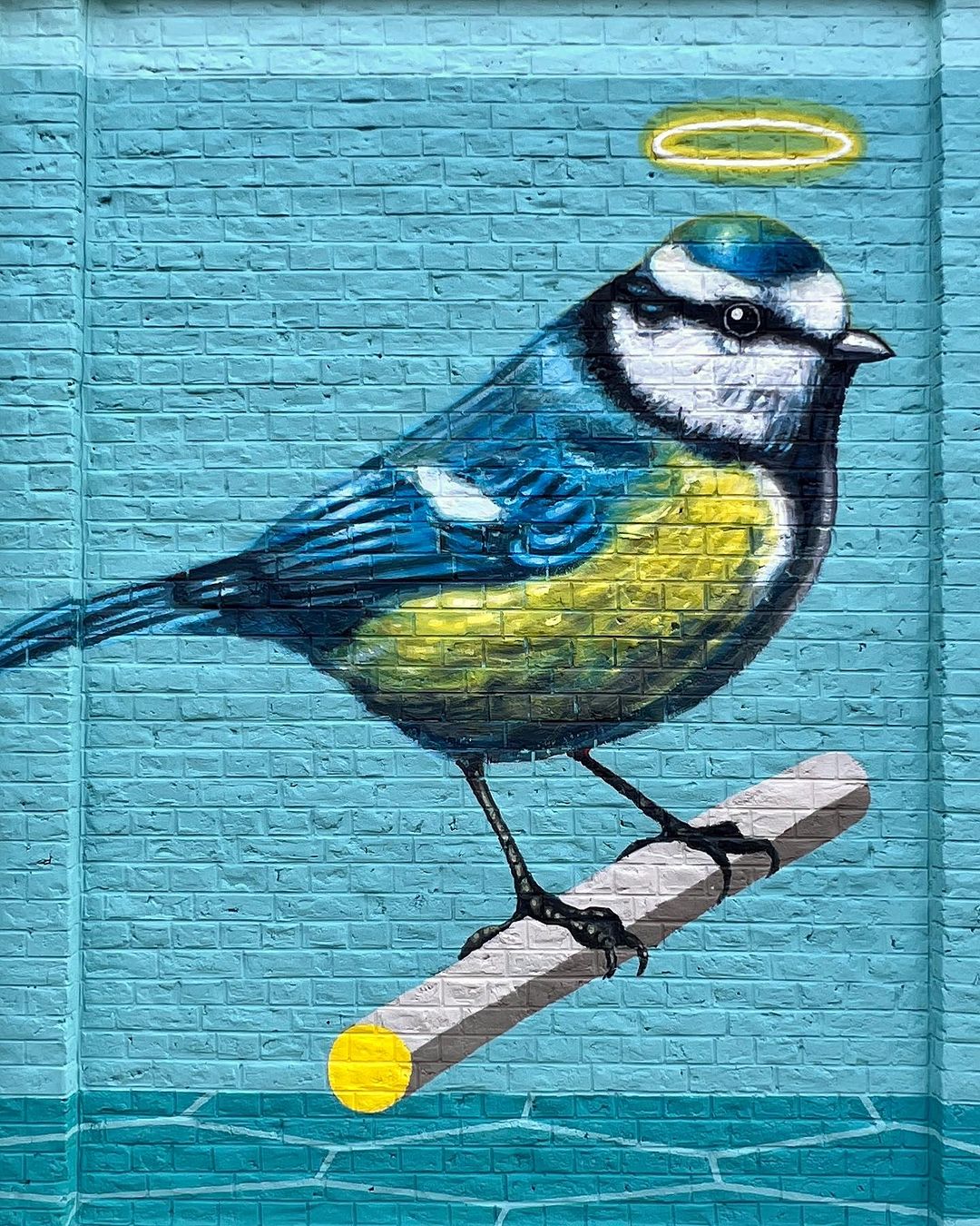 Andrea Buglisi @ Mons, Belgium