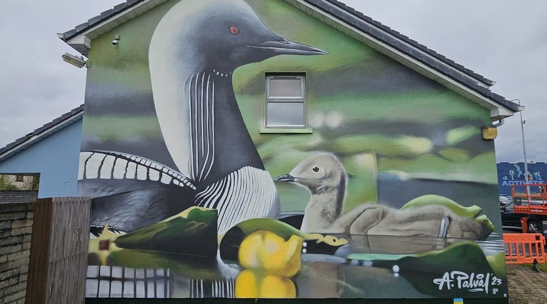 Andrii Palval @ Waterford, Ireland