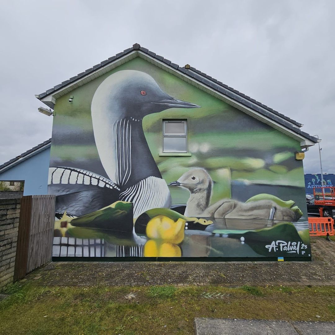 Andrii Palval @ Waterford, Ireland Andrii Palval @ Waterford, Ireland