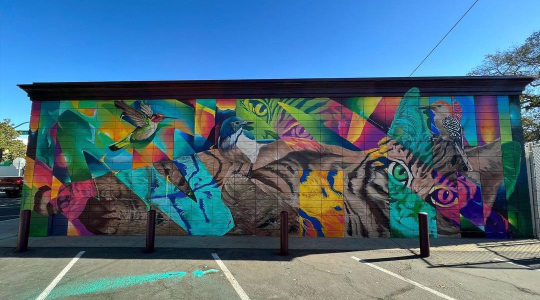 Camer1 @ Modesto, California, USA