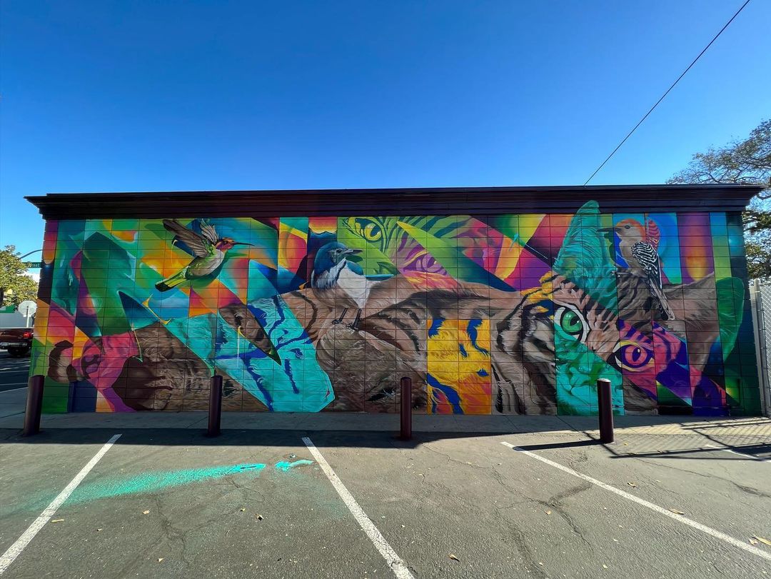 Camer1 @ Modesto, California, USA