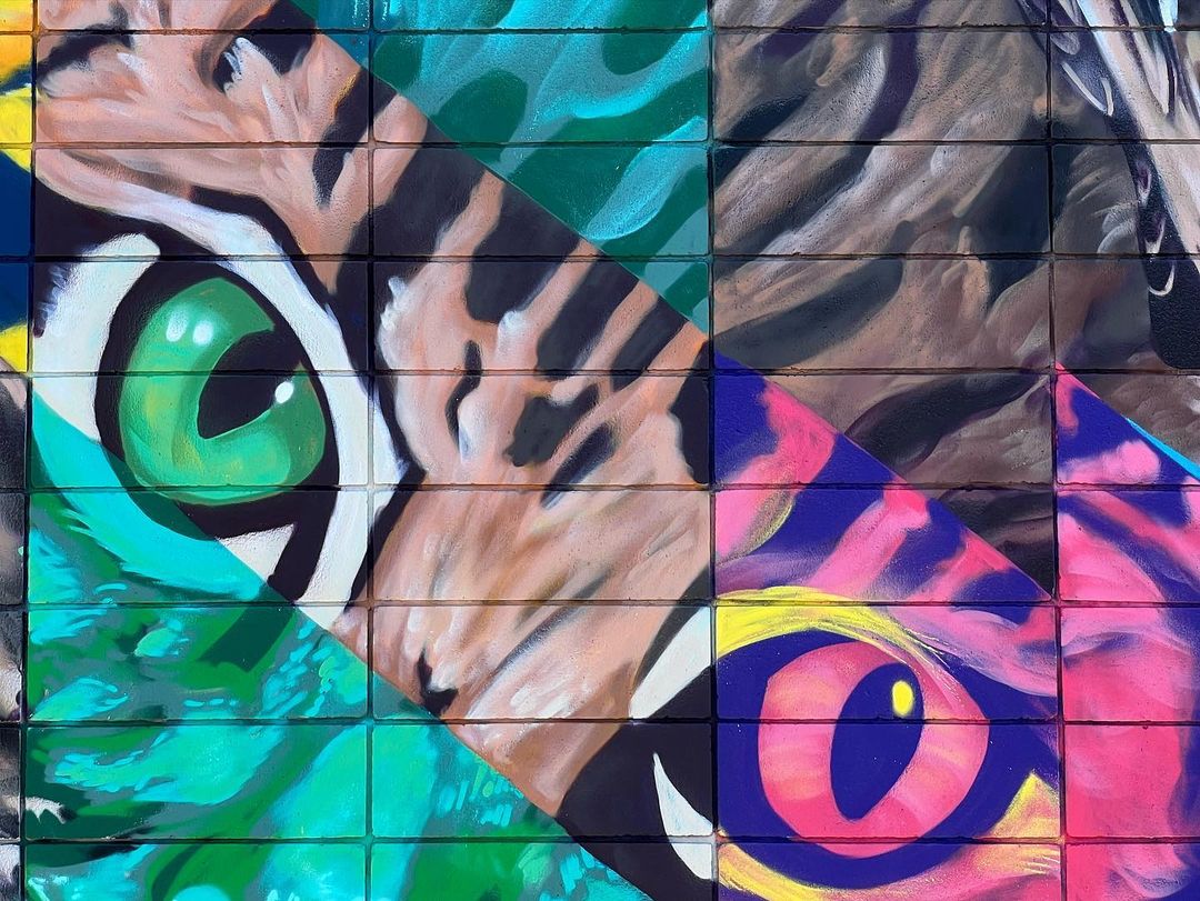 Camer1 @ Modesto, California, USA