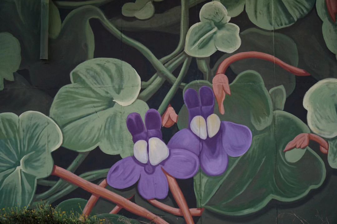 Doa oa @ Cagliari, Italy