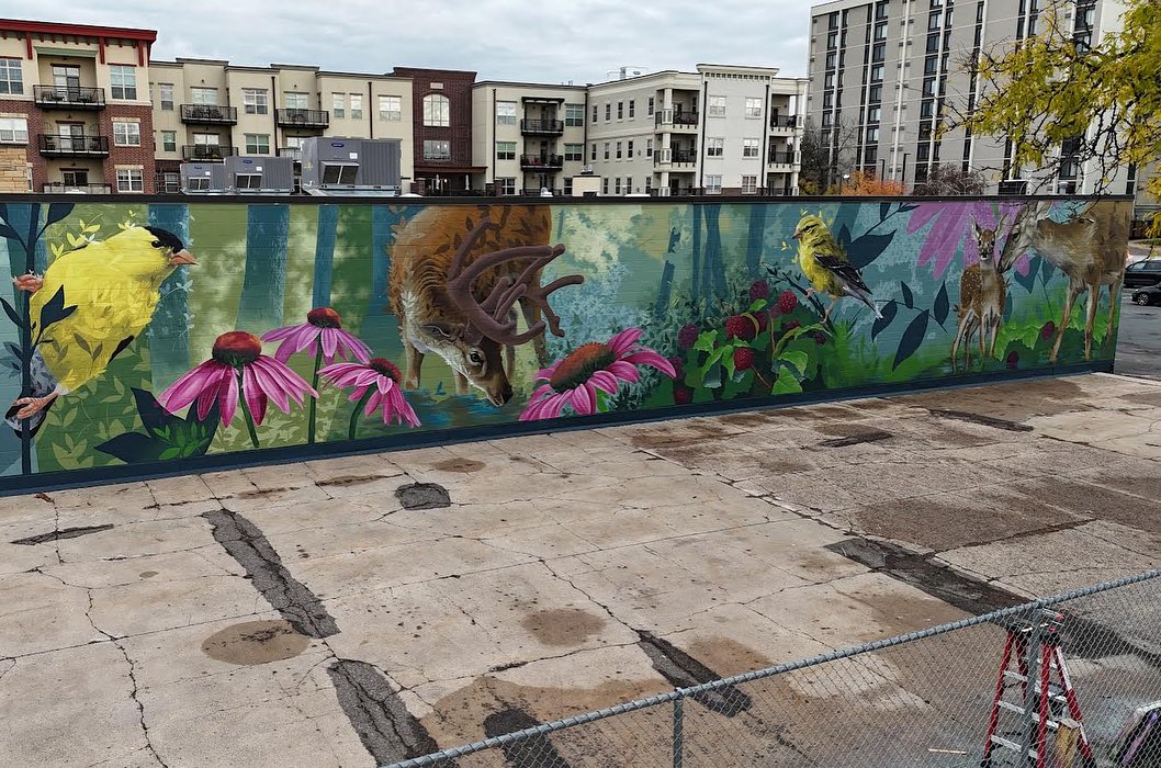 Ernesto Maranje @ Hopkins, Minnesota, USA