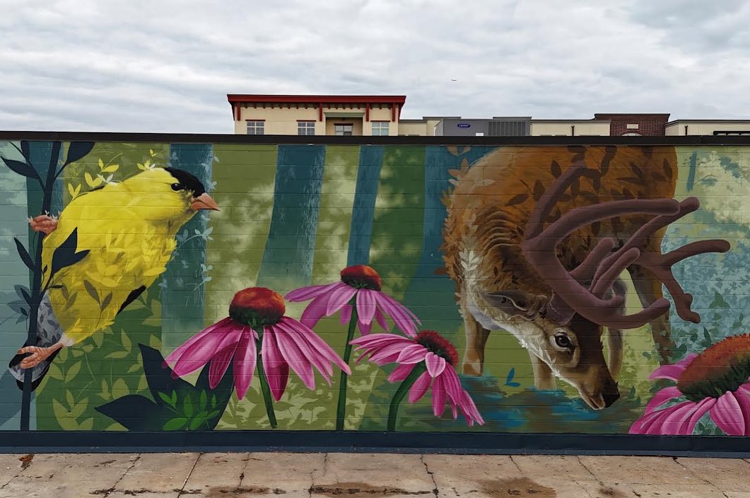 Ernesto Maranje @ Hopkins, Minnesota, USA