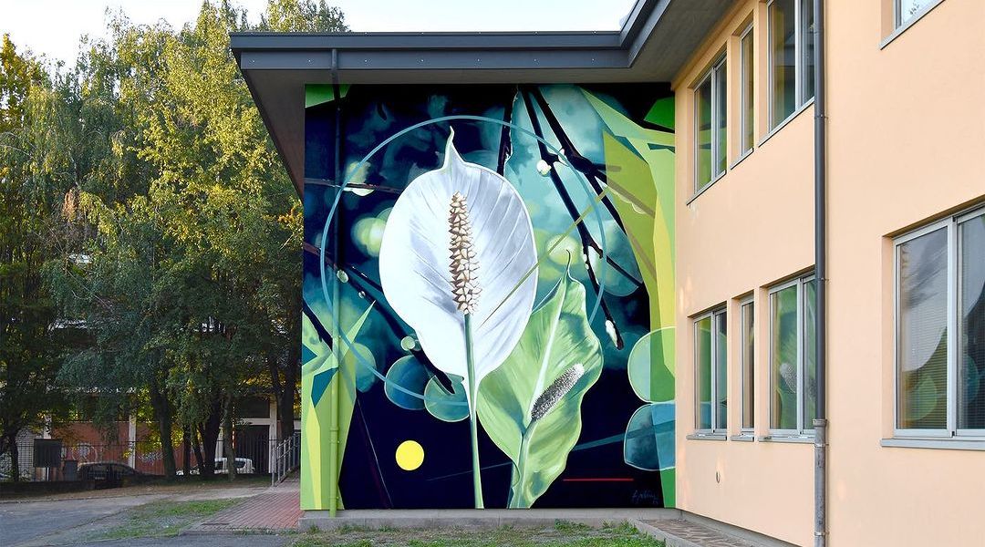 Fabio Petani @ Bergamo, Italy