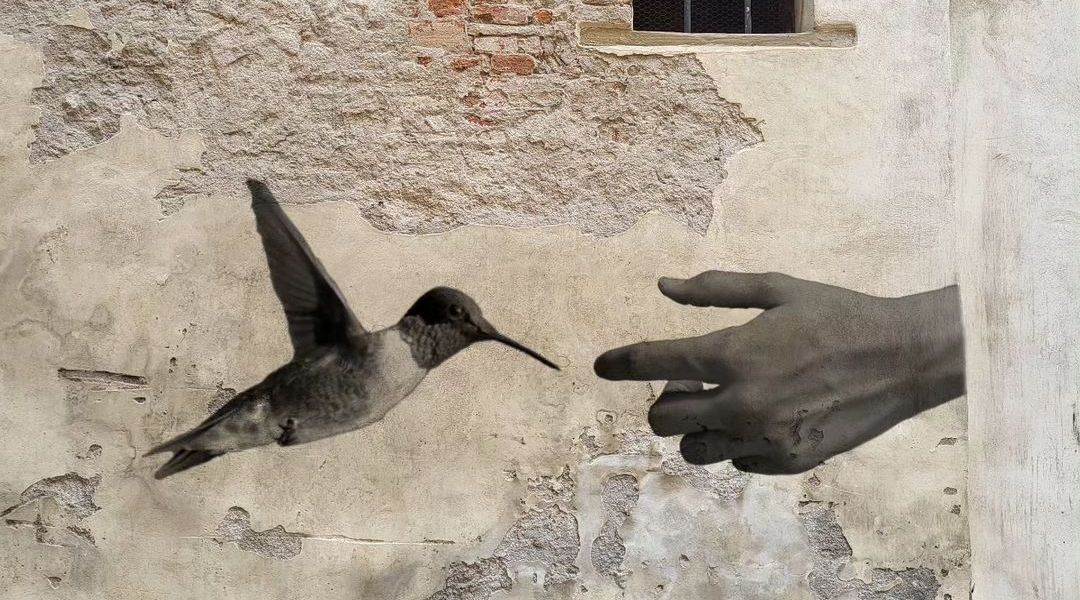 Giulio Giustini @ Italy