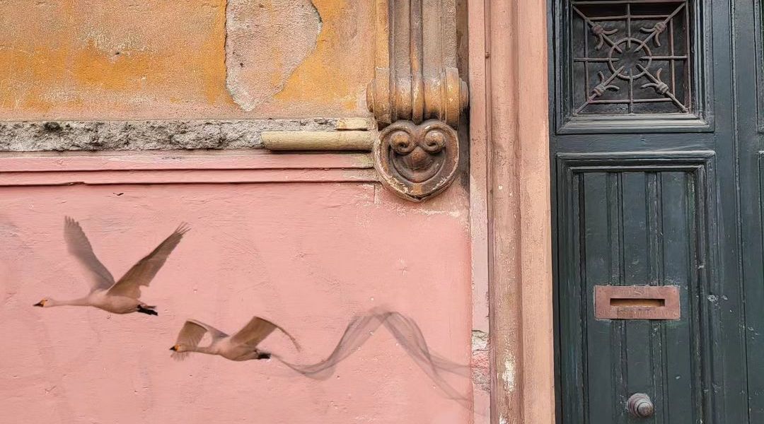 Giulio Giustini @ Rome, Italy