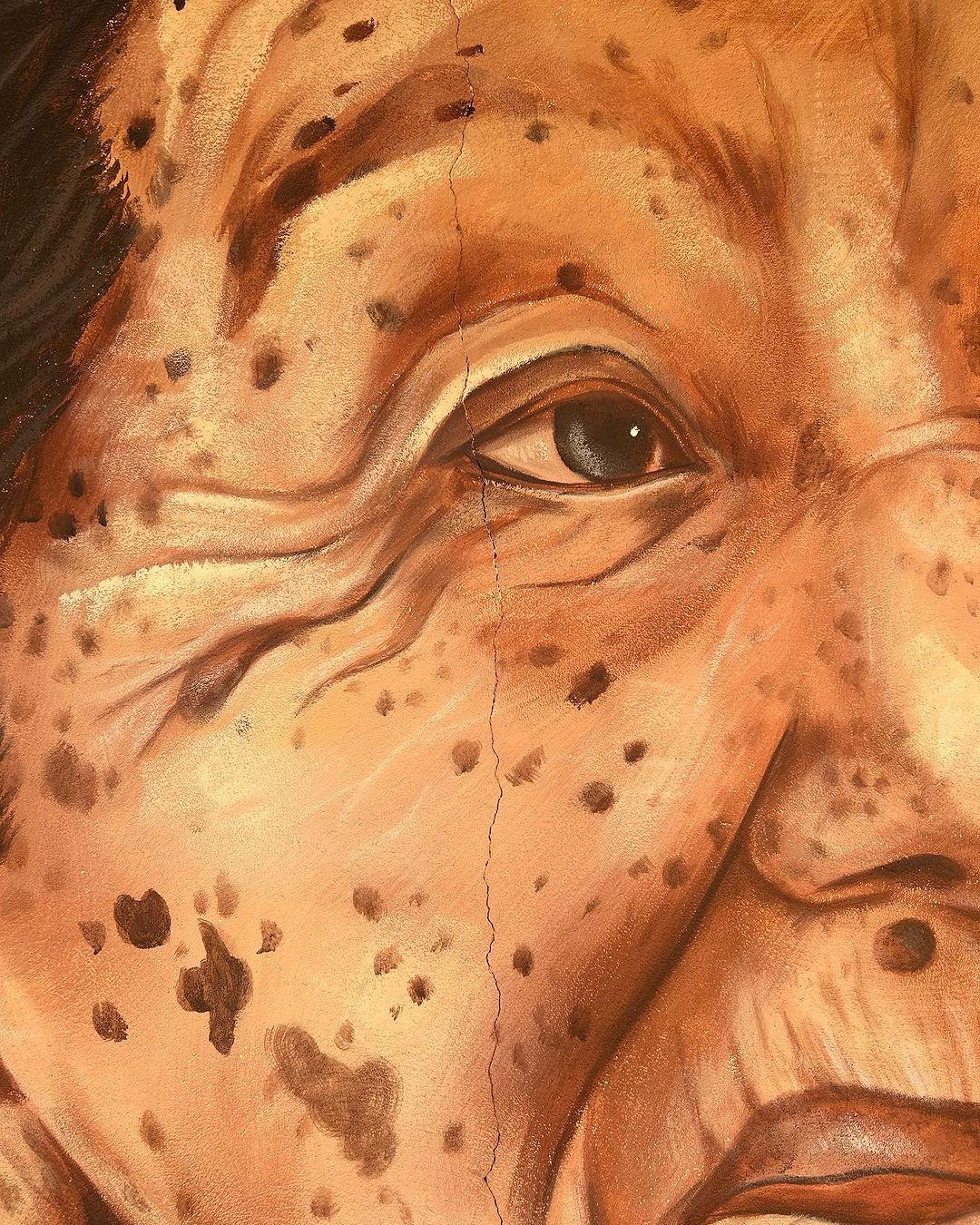 Kelvin Koubik @ Urucureá, Brazil