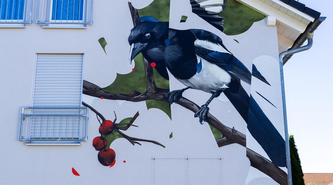 Mister Woodland @ Germany