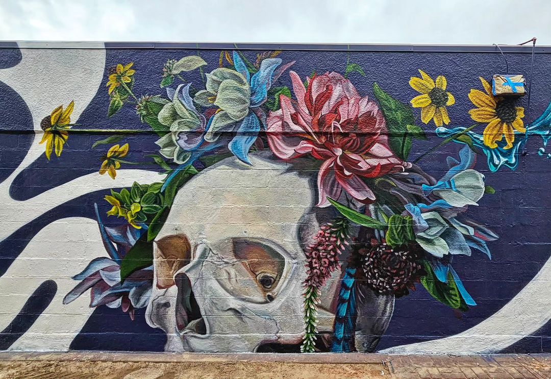 Nico Cathcart @ Aurora, Colorado, USA Nico Cathcart @ Aurora, Colorado, USA