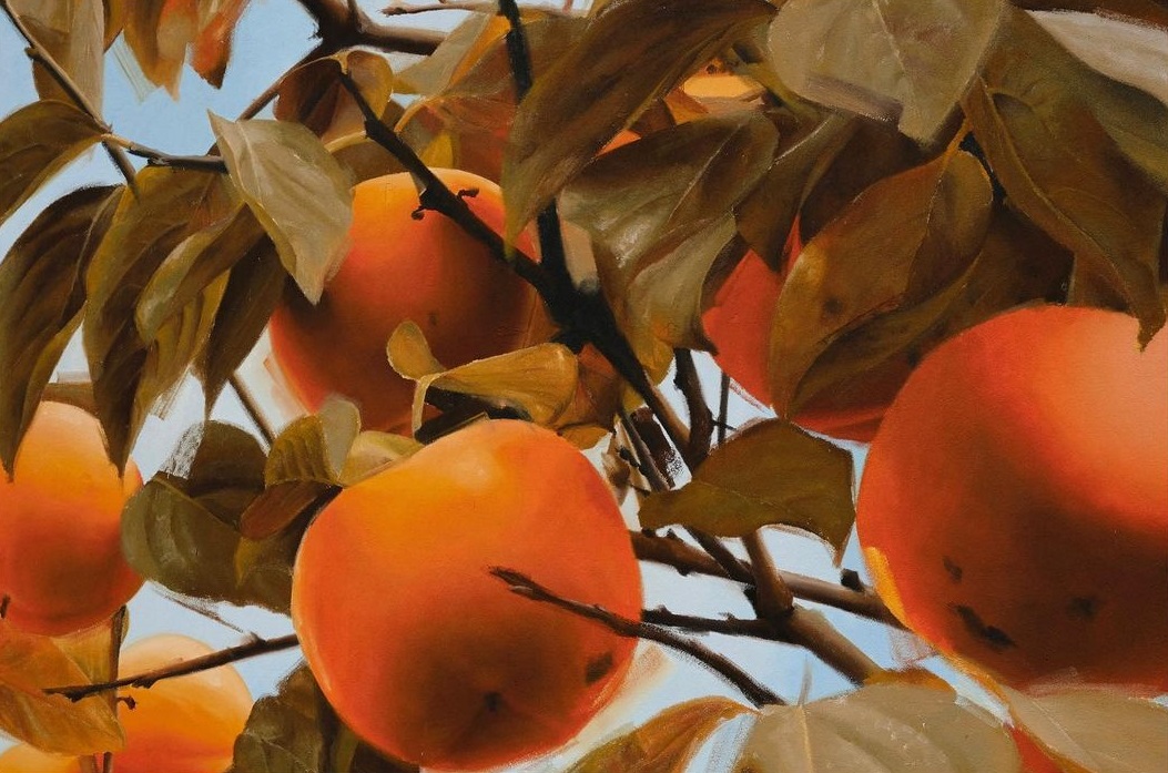 Rémi Tournier @ Briançon, France