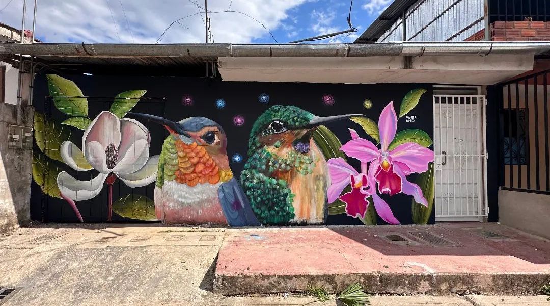 Safe @ Moyobamba, Peru