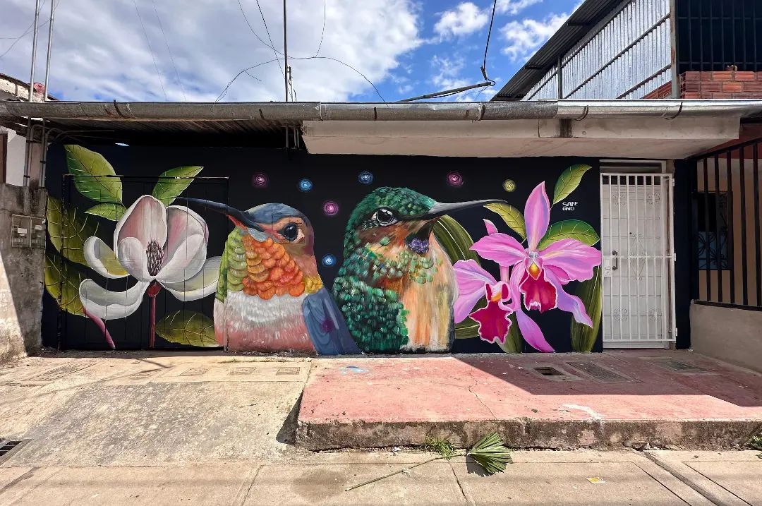 Safe @ Moyobamba, Peru