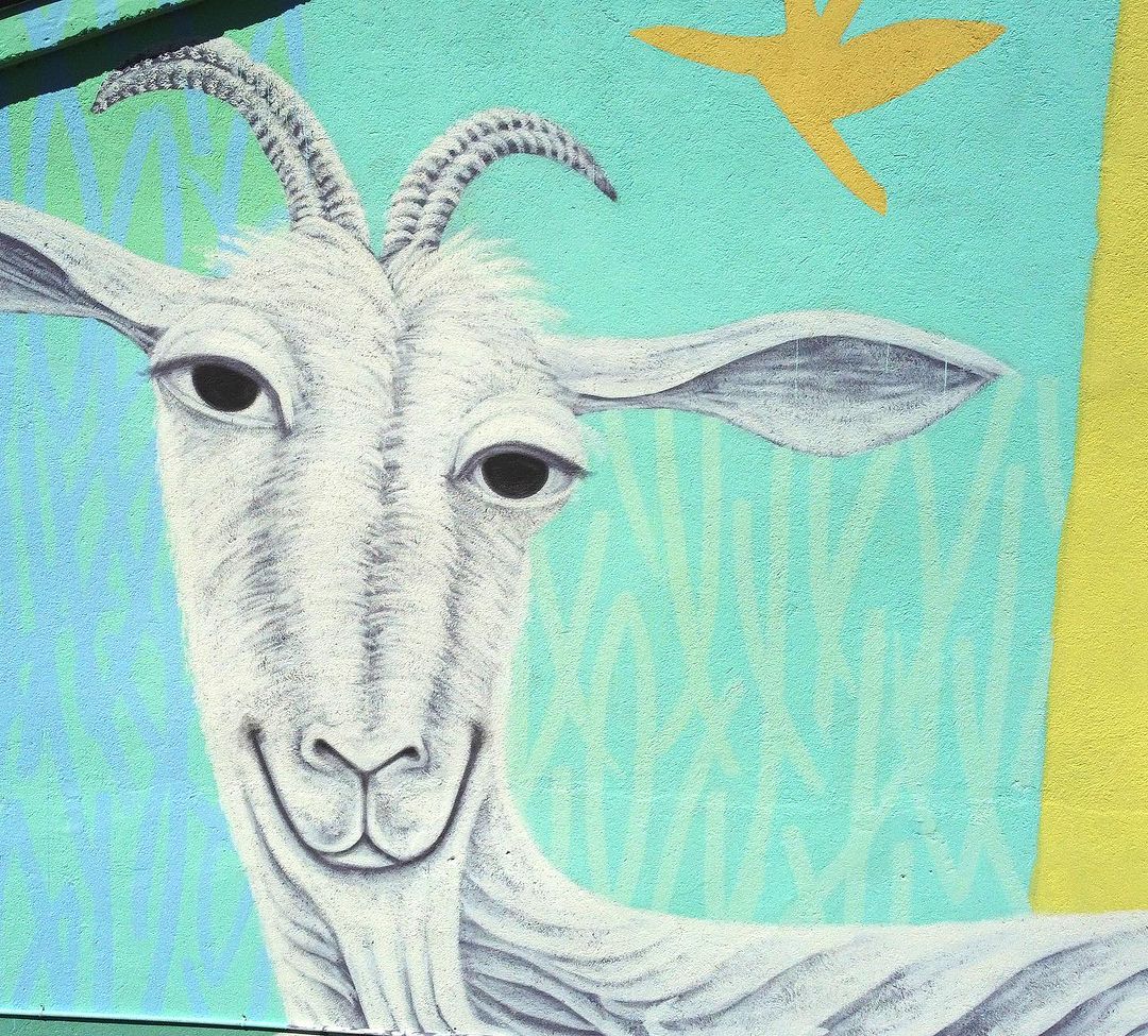 Vincenzo Suscetta @ San Marco la Catola, Italy