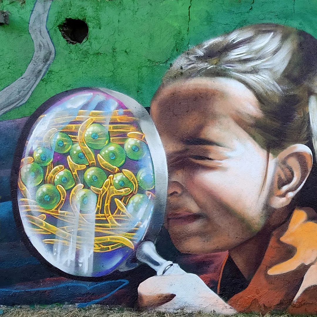 Adrian @ Chillán, Chile