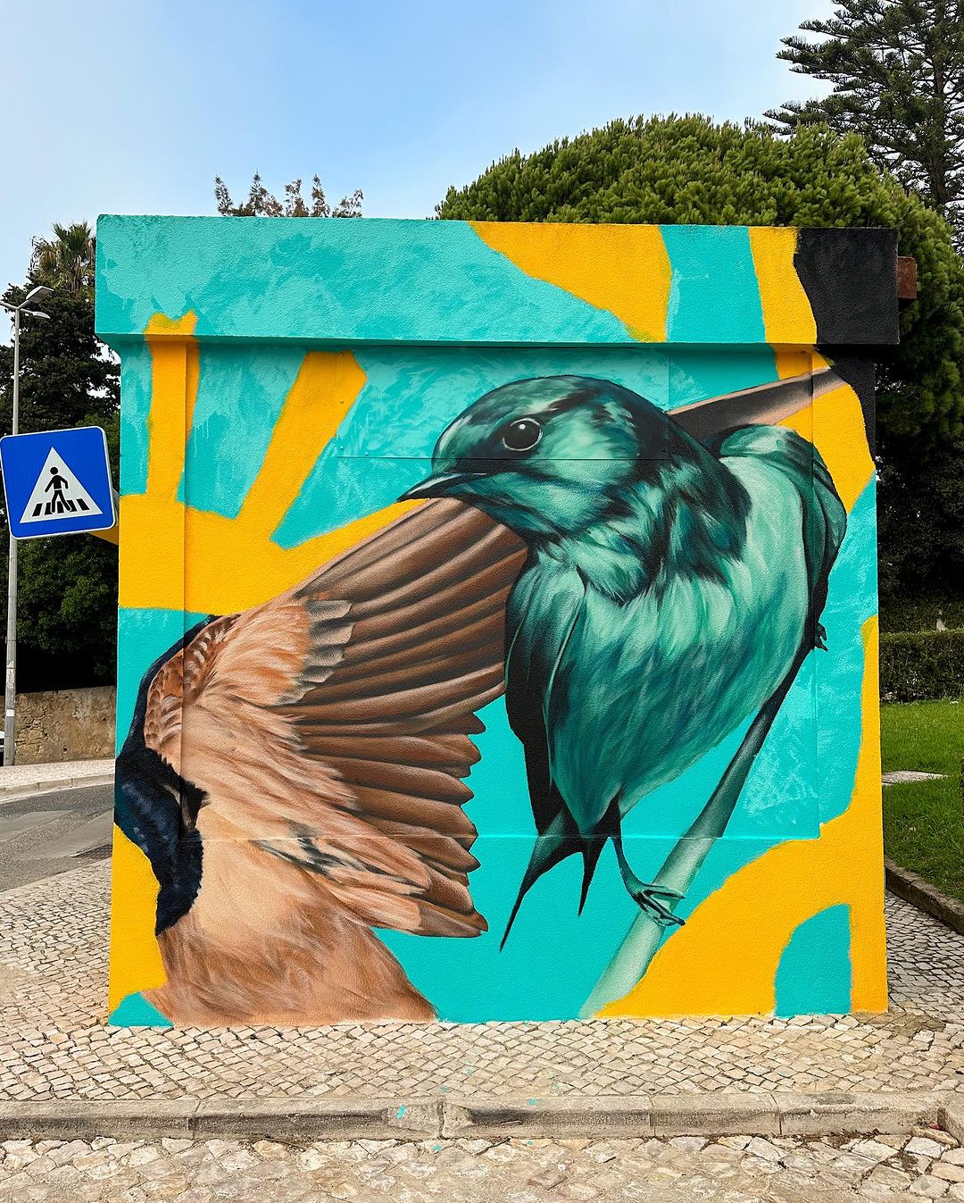 Afonsoul @ Carcavelos, Portugal