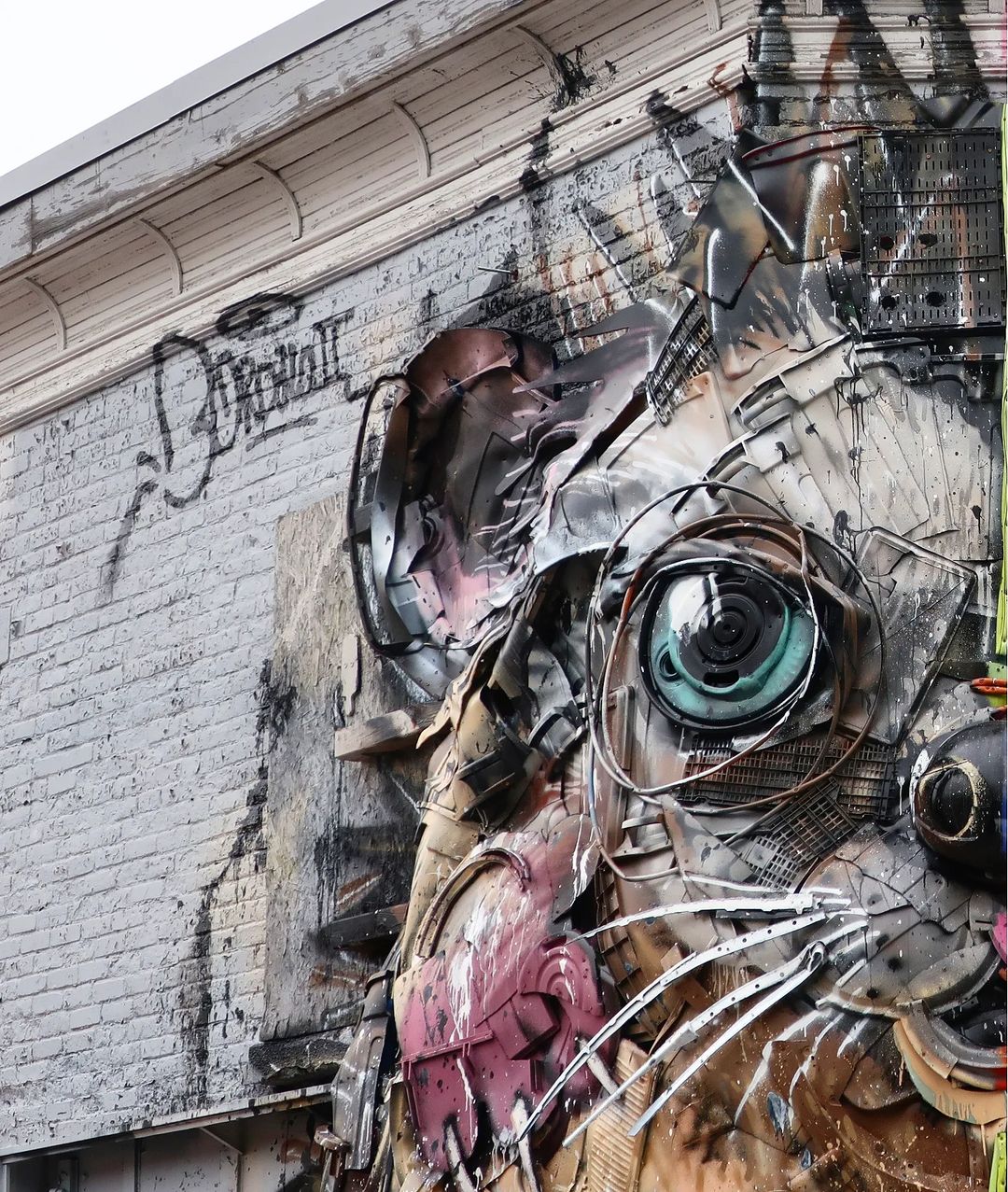Bordalo II @ Montreal, Canada