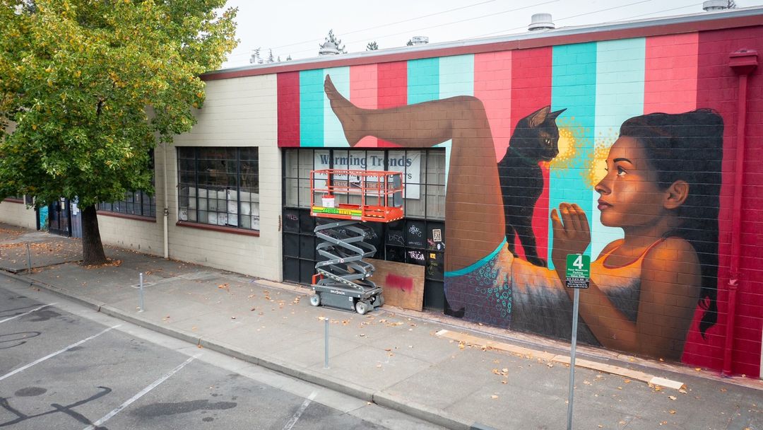 Casey Weldon @ Santa Rosa, California, USA