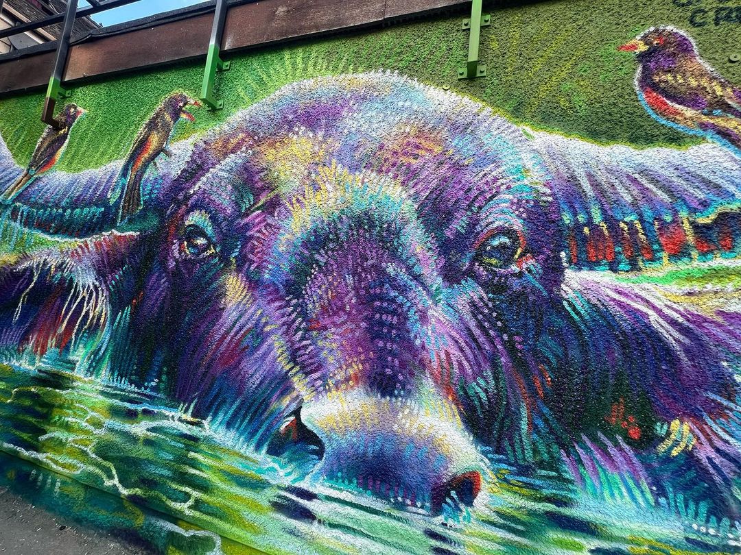 Christian Stanley @ Swindon, UK