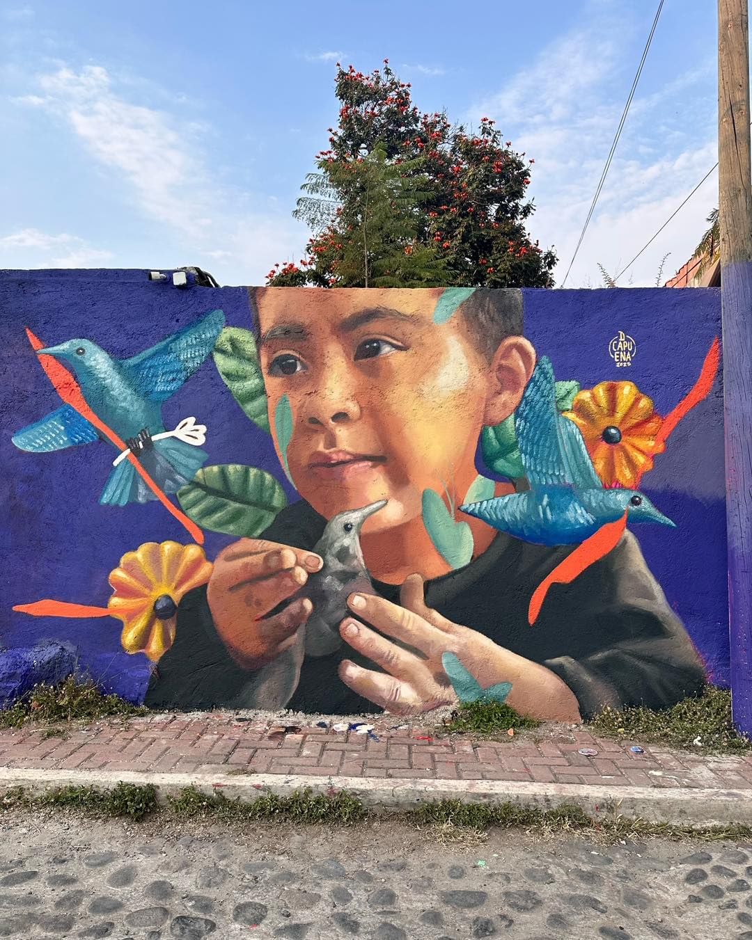 Diego Capuena @ Morelos, Mexico